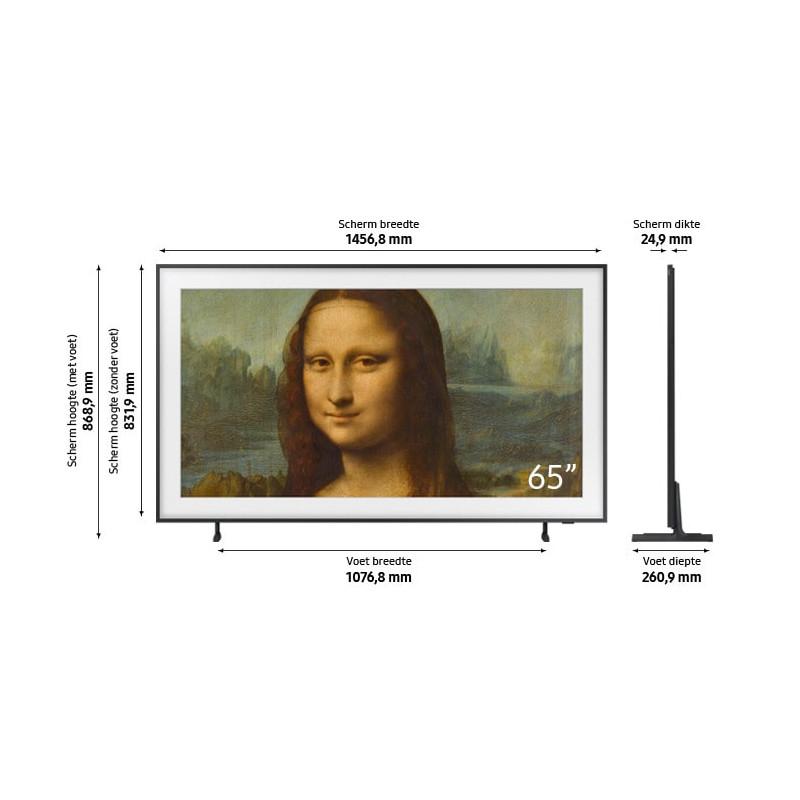 Télévision SAMSUNG QE65LS03B