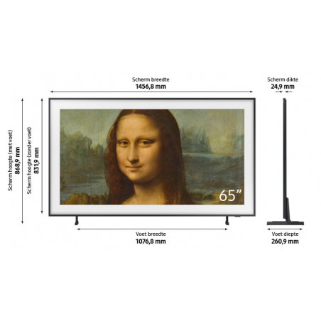 Télévision SAMSUNG QE65LS03B