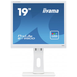 Moniteur PC IIYAMA B1980D-W1