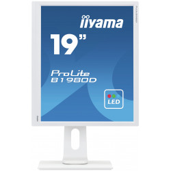 Moniteur PC IIYAMA B1980D-W1