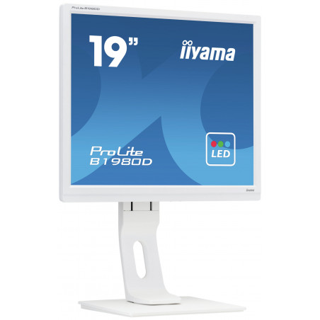 Moniteur PC IIYAMA B1980D-W1