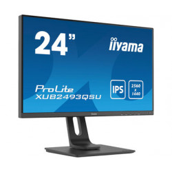 Moniteur PC IIYAMA XUB2493QSU-B1