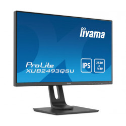 Moniteur PC IIYAMA XUB2493QSU-B1