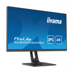 Moniteur PC IIYAMA XUB2893UHSU-B1