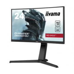 Moniteur PC IIYAMA GB2466HSU-B1