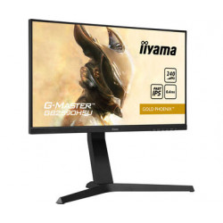 Moniteur PC IIYAMA GB2590HSU-B1