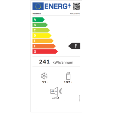 Réfrigérateur congélateur HISENSE FTN250FFW