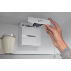 Réfrigérateur congélateur LIEBHERR CND1853-20