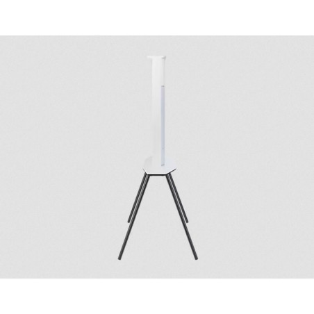 Télévision SAMSUNG TQ43LS01BGUXXC