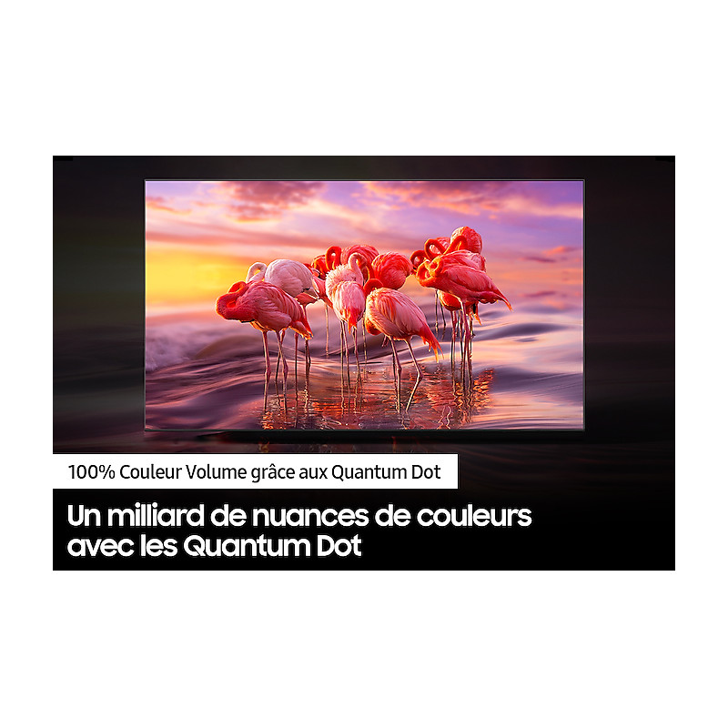 Télévision SAMSUNG TQ32Q50AEUXXC