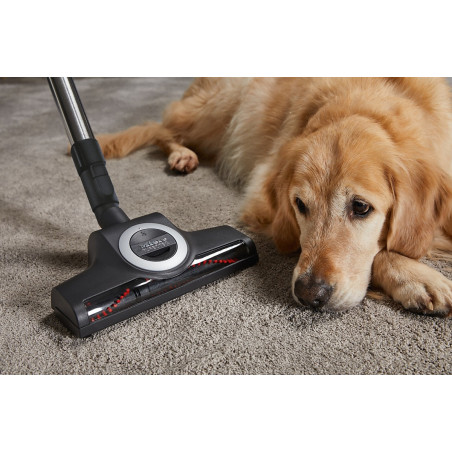Aspirateur MIELE COMPLETE C3 CAT AND DOG FLEX