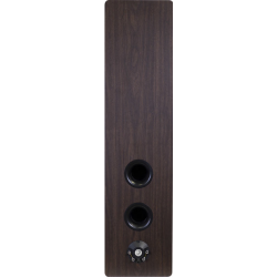 Enceintes colonnes ELIPSON PRESTIGE FACET 34F WALNUT