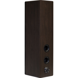 Enceintes colonnes ELIPSON PRESTIGE FACET 34F WALNUT