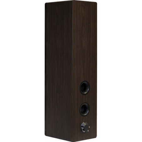 Enceintes colonnes ELIPSON PRESTIGE FACET 34F WALNUT