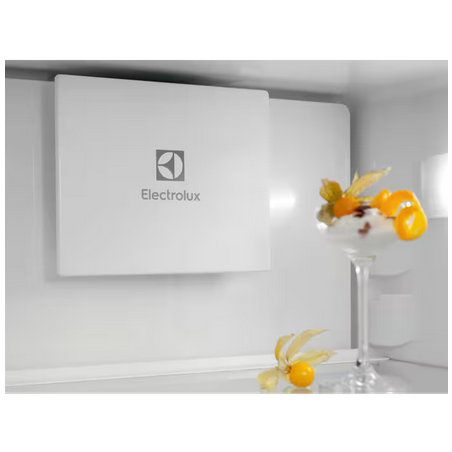 Réfrigérateur congélateur ELECTROLUX LNT6ME18S