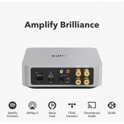 Accessoires Home Cinéma WIIM AMP
