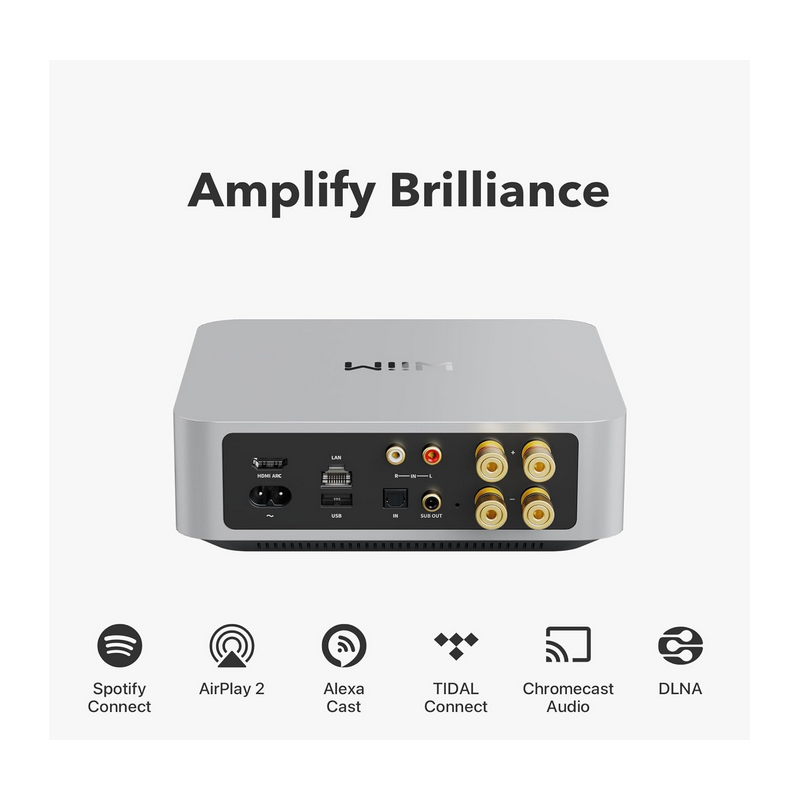 Accessoires Home Cinéma WIIM AMP