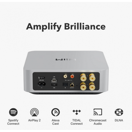 Accessoires Home Cinéma WIIM AMP