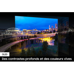 Télévision SAMSUNG TQ48S90DAEXXC