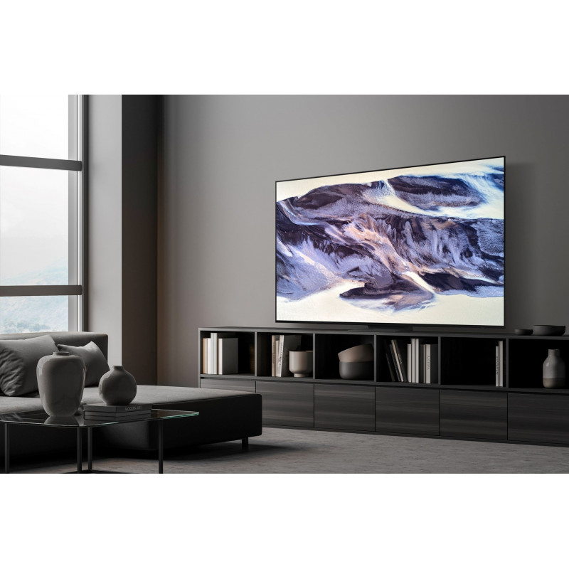 Télévision SAMSUNG TQ48S90DAEXXC