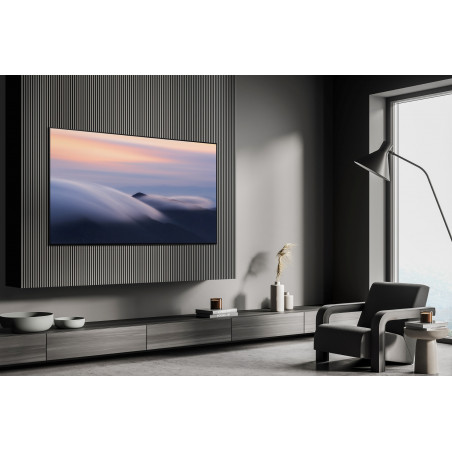 Télévision SAMSUNG TQ48S90DAEXXC