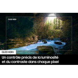 Télévision SAMSUNG TQ83S90D