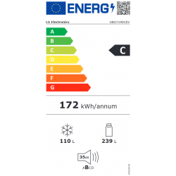 Réfrigérateur congélateur LG GBG7190CEV