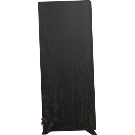 Enceintes colonnes KLIPSCH RP-6000F-II EBONY