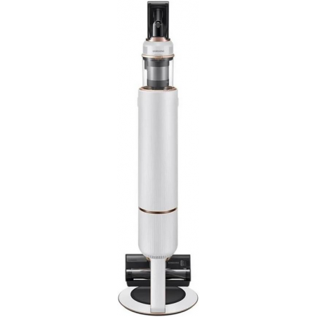 Aspirateur SAMSUNG VS20B95823W