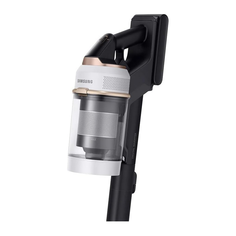 Aspirateur SAMSUNG VS20B95823W