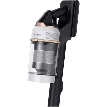 Aspirateur SAMSUNG VS20B95823W