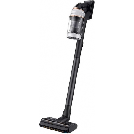 Aspirateur SAMSUNG VS20B95823W
