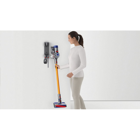 Aspirateur DYSON V8 ABSOLUTE
