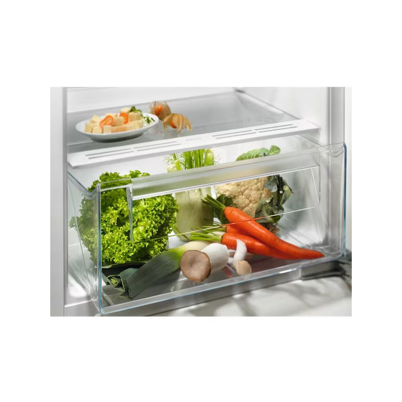Réfrigérateur Une Porte ELECTROLUX ERB3DE12S