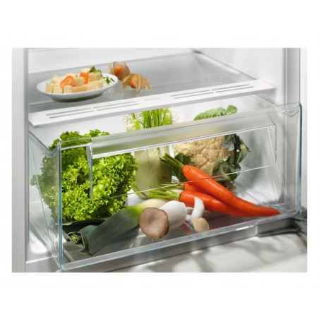 Réfrigérateur Une Porte ELECTROLUX ERB3DE12S