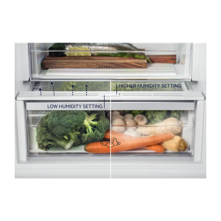 Réfrigérateur Une Porte ELECTROLUX ERB3DE12S