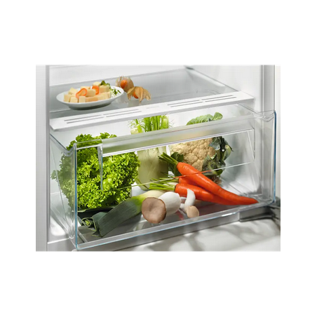 Réfrigérateur Une Porte ELECTROLUX ERB3DE12S