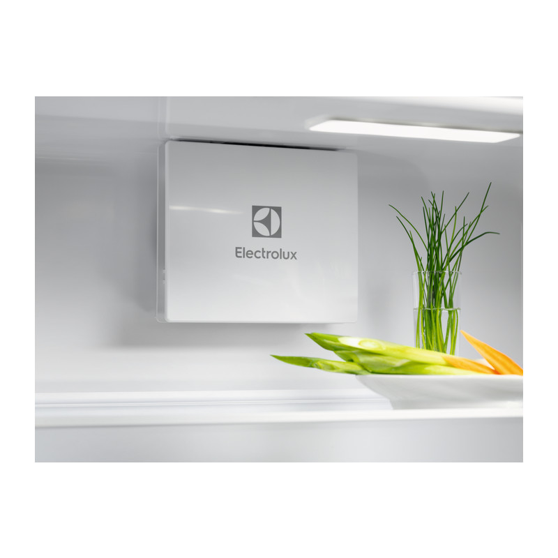 Réfrigérateur Une Porte ELECTROLUX ERD6DE18S