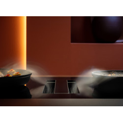 Plaque de cuisson FALMEC ZERO3421