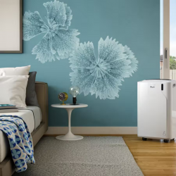 Ventilateur / Climatiseur DE LONGHI PAC EM82