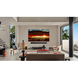 Télévision LG OLED55G5