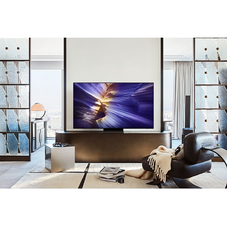 Télévision SAMSUNG TQ48S90F