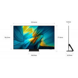 Télévision SAMSUNG TQ55S95F