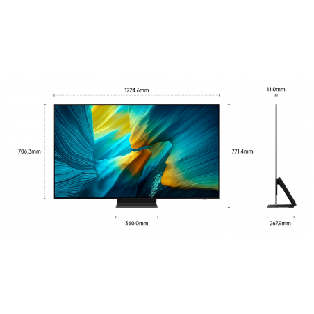 Télévision SAMSUNG TQ55S95F