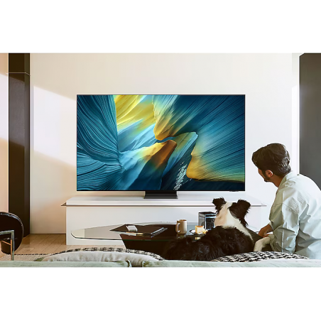Télévision SAMSUNG TQ55S95F