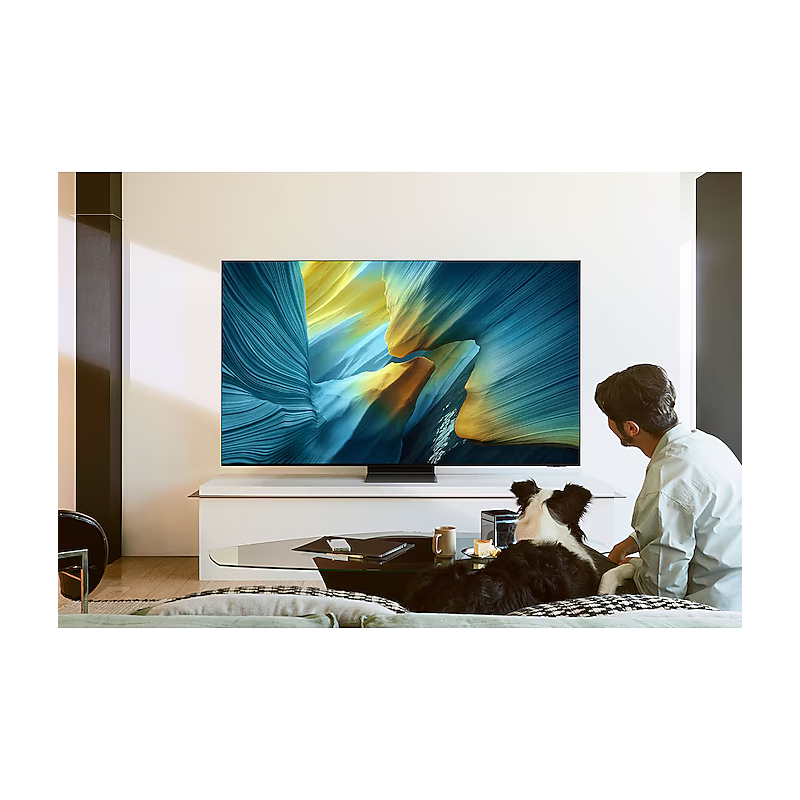 Télévision SAMSUNG TQ65S95F