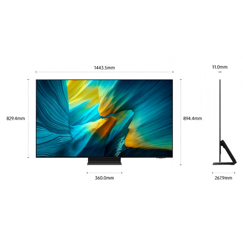 Télévision SAMSUNG TQ65S95F