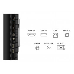 Télévision TCL 75P8K