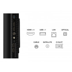 Télévision TCL 65P8K