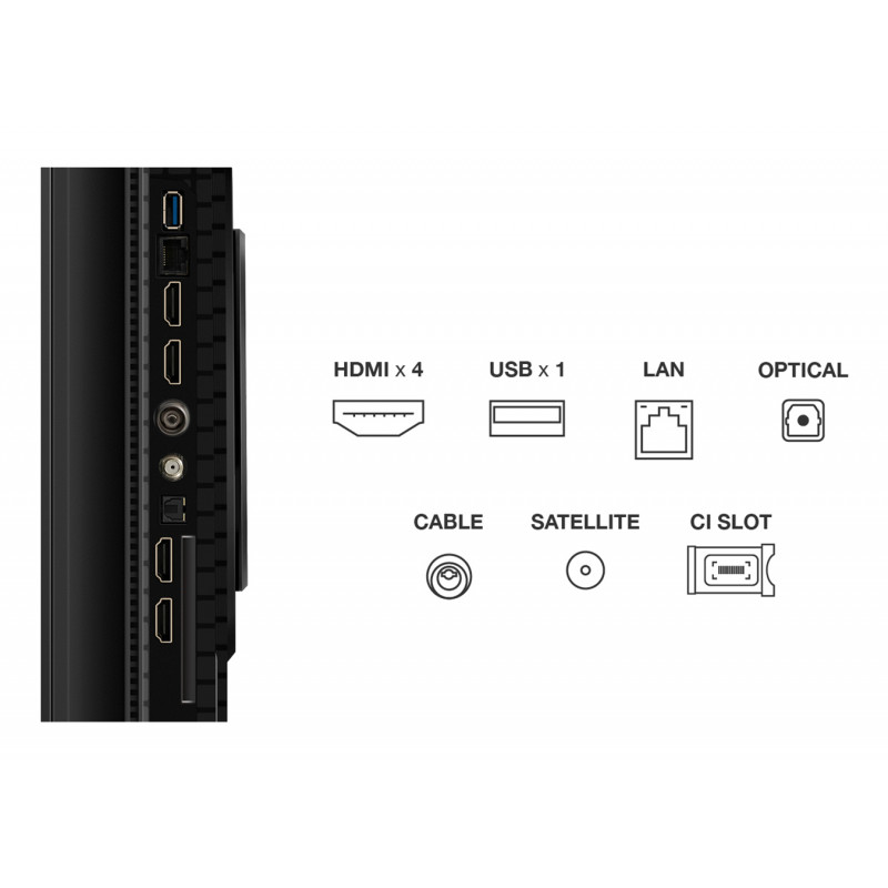 Télévision TCL 65P8K
